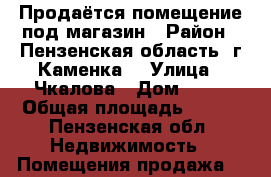 Продаётся помещение под магазин › Район ­ Пензенская область, г Каменка  › Улица ­ Чкалова › Дом ­ 27 › Общая площадь ­ 324 - Пензенская обл. Недвижимость » Помещения продажа   